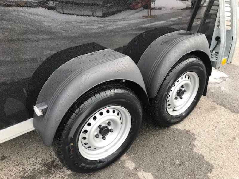 Viehanhänger des Typs Böckmann Pferdeanhänger Comfort (22) 2,4to 3,35x,1,65m, Neumaschine in Tamsweg (Bild 3)