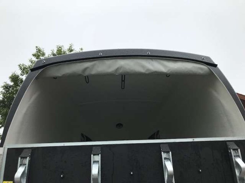 Viehanhänger des Typs Böckmann Pferdeanhänger Duo R mit Sattelkammer, Neumaschine in Tamsweg (Bild 4)