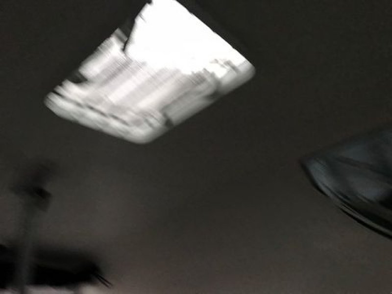 Viehanhänger des Typs Böckmann Pferdeanhänger Neo L SR 2,7to Sattelraum, Neumaschine in Tamsweg (Bild 19)