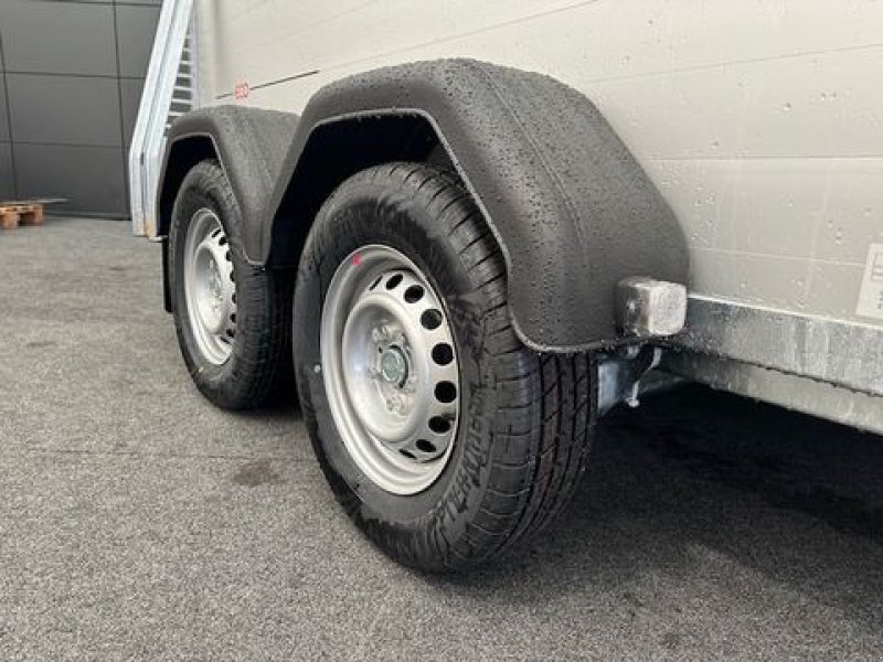 Viehanhänger des Typs Böckmann Pferdeanhänger Portax Esprit ECO 2,4to 3,27x1,65, Neumaschine in Tamsweg (Bild 5)