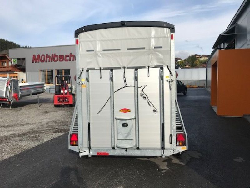 Viehanhänger del tipo Böckmann Pferdeanhänger Portax L K, Neumaschine In Tamsweg (Immagine 9)