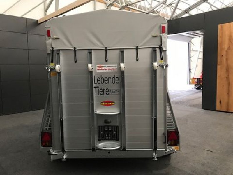 Viehanhänger des Typs Böckmann Viehanhänger VA 3016/27 Alu 2,7to 3,05x1,65m, Neumaschine in Tamsweg (Bild 4)