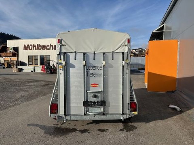 Viehanhänger tipa Böckmann Viehanhänger VA 3016/27 Alu 2,7to 3,05x1,65m, Neumaschine u Tamsweg (Slika 7)