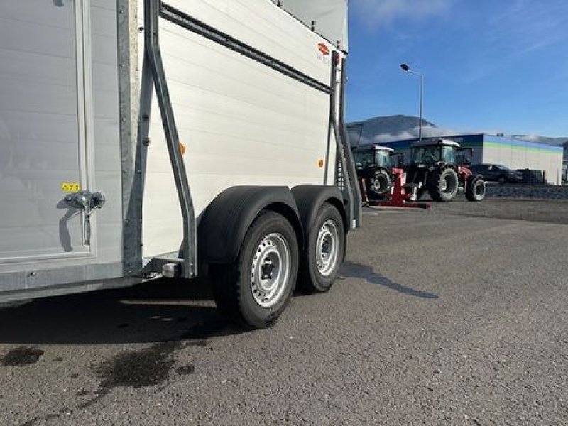 Viehanhänger tipa Böckmann Viehanhänger VA 3016/27 Alu 2,7to 3,05x1,65m, Neumaschine u Tamsweg (Slika 4)