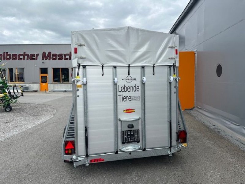 Viehanhänger des Typs Böckmann Viehanhänger VA 3117/35 3,16x1,76m 3,5to, Neumaschine in Tamsweg (Bild 7)