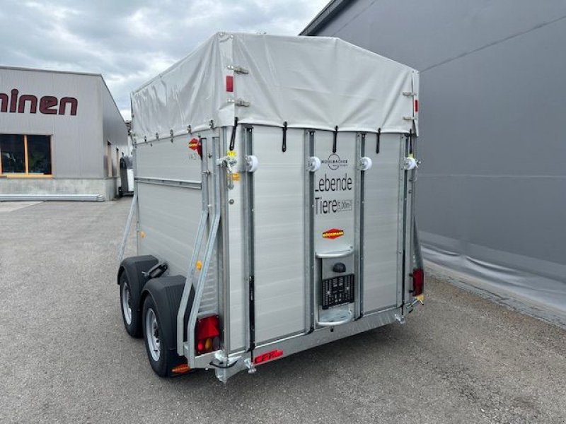 Viehanhänger des Typs Böckmann Viehanhänger VA 3117/35 3,16x1,76m 3,5to, Neumaschine in Tamsweg (Bild 5)