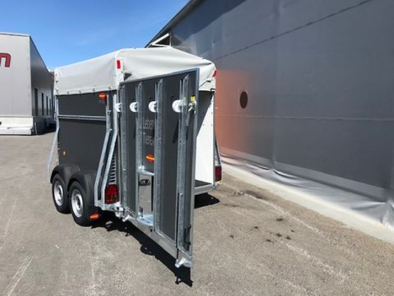 Viehanhänger des Typs Böckmann Viehanhänger VH 3016/24 Holz 2,4to 3,05x1,65m, Neumaschine in Tamsweg (Bild 23)