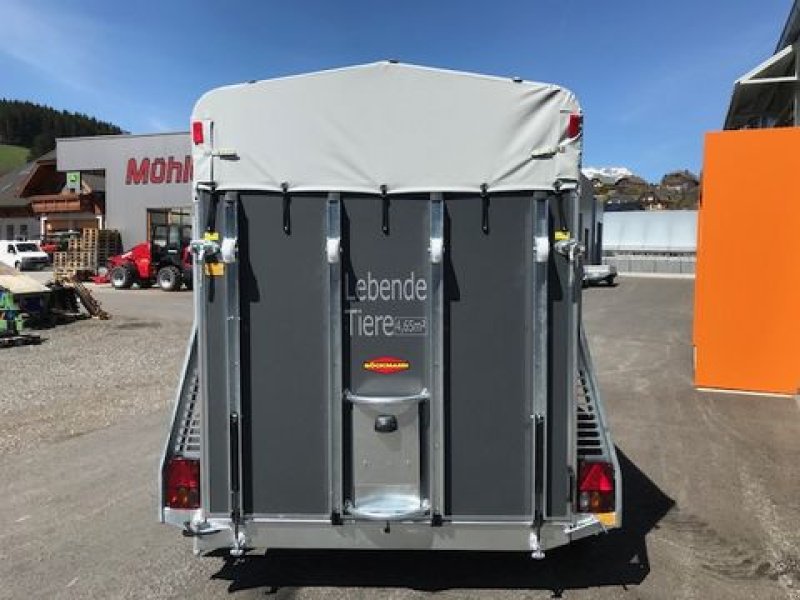 Viehanhänger des Typs Böckmann Viehanhänger VH 3016/24 Holz 2,4to 3,05x1,65m, Neumaschine in Tamsweg (Bild 5)