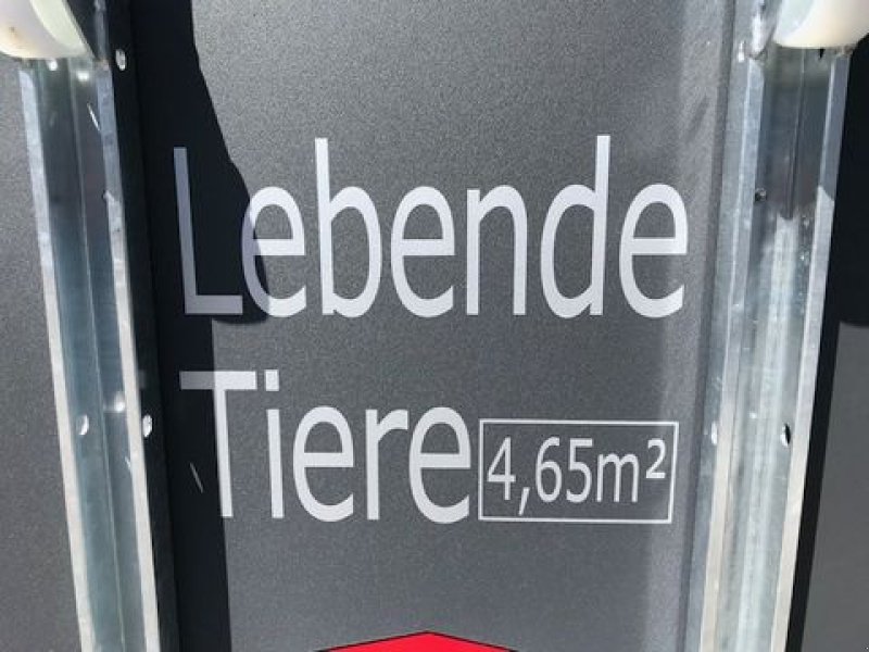 Viehanhänger des Typs Böckmann Viehanhänger VH 3016/24 Holz 2,4to 3,05x1,65m, Neumaschine in Tamsweg (Bild 7)