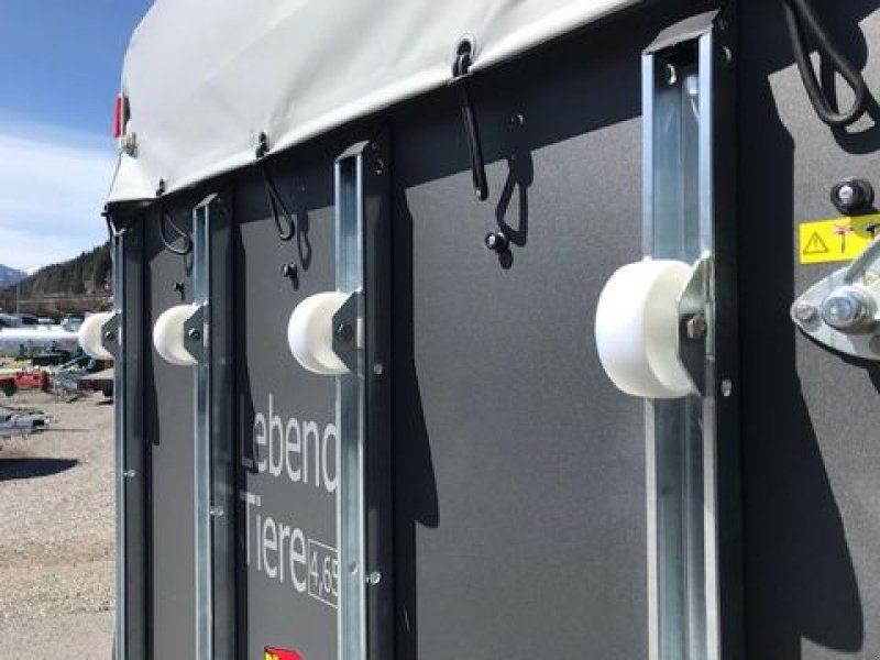 Viehanhänger des Typs Böckmann Viehanhänger VH 3016/24 Holz 2,4to 3,05x1,65m, Neumaschine in Tamsweg (Bild 13)