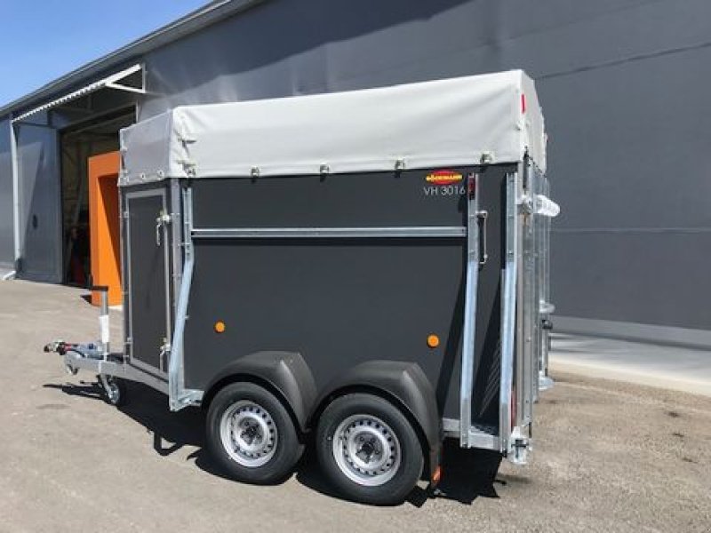 Viehanhänger des Typs Böckmann Viehanhänger VH 3016/24 Holz 2,4to 3,05x1,65m, Neumaschine in Tamsweg (Bild 9)