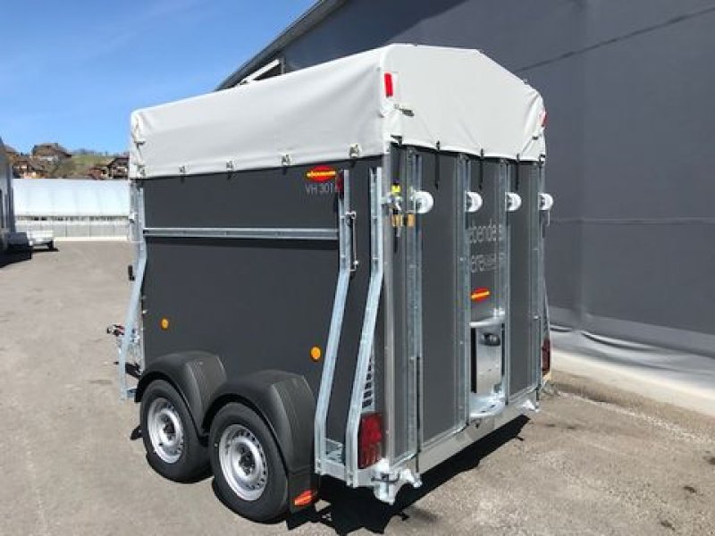 Viehanhänger des Typs Böckmann Viehanhänger VH 3016/24 Holz 2,4to 3,05x1,65m, Neumaschine in Tamsweg (Bild 8)