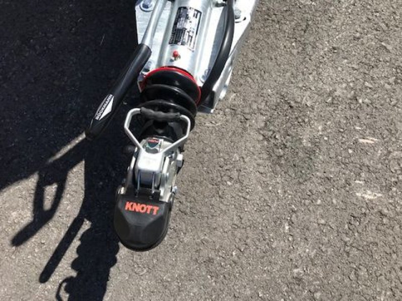 Viehanhänger des Typs Böckmann Viehanhänger VH 3016/24 Holz 2,4to 3,05x1,65m, Neumaschine in Tamsweg (Bild 11)