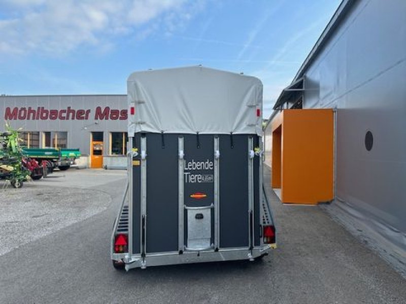 Viehanhänger typu Böckmann Viehanhänger VH 3016/27 2,7to Pferdetransport, Neumaschine v Tamsweg (Obrázek 5)