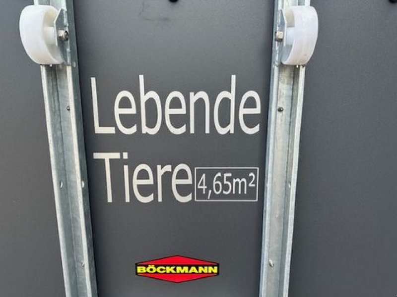 Viehanhänger typu Böckmann Viehanhänger VH 3016/27 2,7to Pferdetransport, Neumaschine v Tamsweg (Obrázek 7)