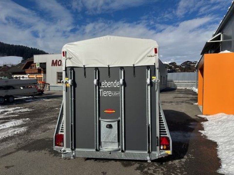 Viehanhänger typu Böckmann Viehanhänger VH 3016/27 Holz 2,7to 3,05x1,65m, Neumaschine v Tamsweg (Obrázek 8)