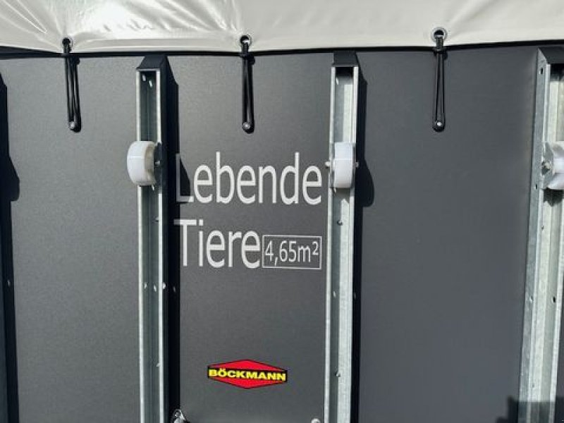 Viehanhänger типа Böckmann Viehanhänger VH 3016/27 Holz 2,7to 3,05x1,65m, Neumaschine в Tamsweg (Фотография 10)