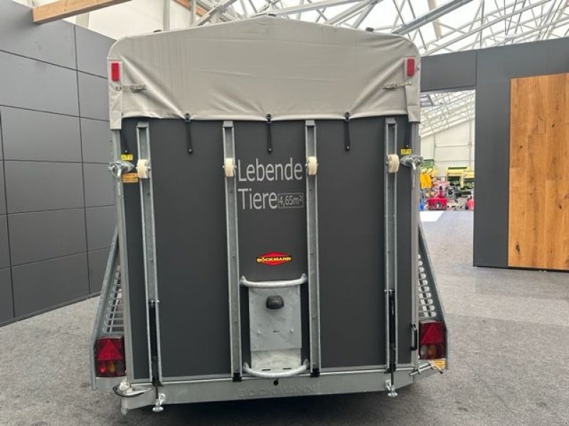Viehanhänger des Typs Böckmann Viehanhänger VH 3016/27 Holz mit Aluboden, Neumaschine in Tamsweg (Bild 13)