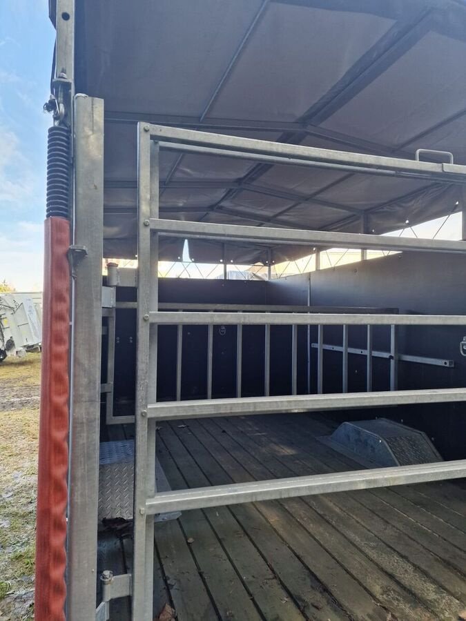 Viehanhänger des Typs CYNKOMET Viehanhänger / livestock trailer, Neumaschine in Michałowo (Bild 7)