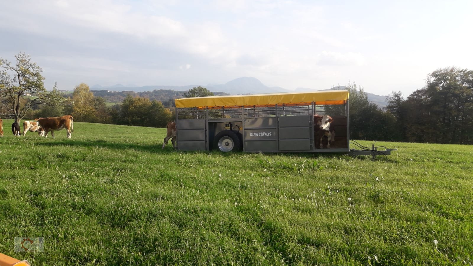 Viehanhänger типа Dinapolis TRV Tiertransportwagen Druckluft Hydraulisch absenkbar, Neumaschine в Tiefenbach (Фотография 3)