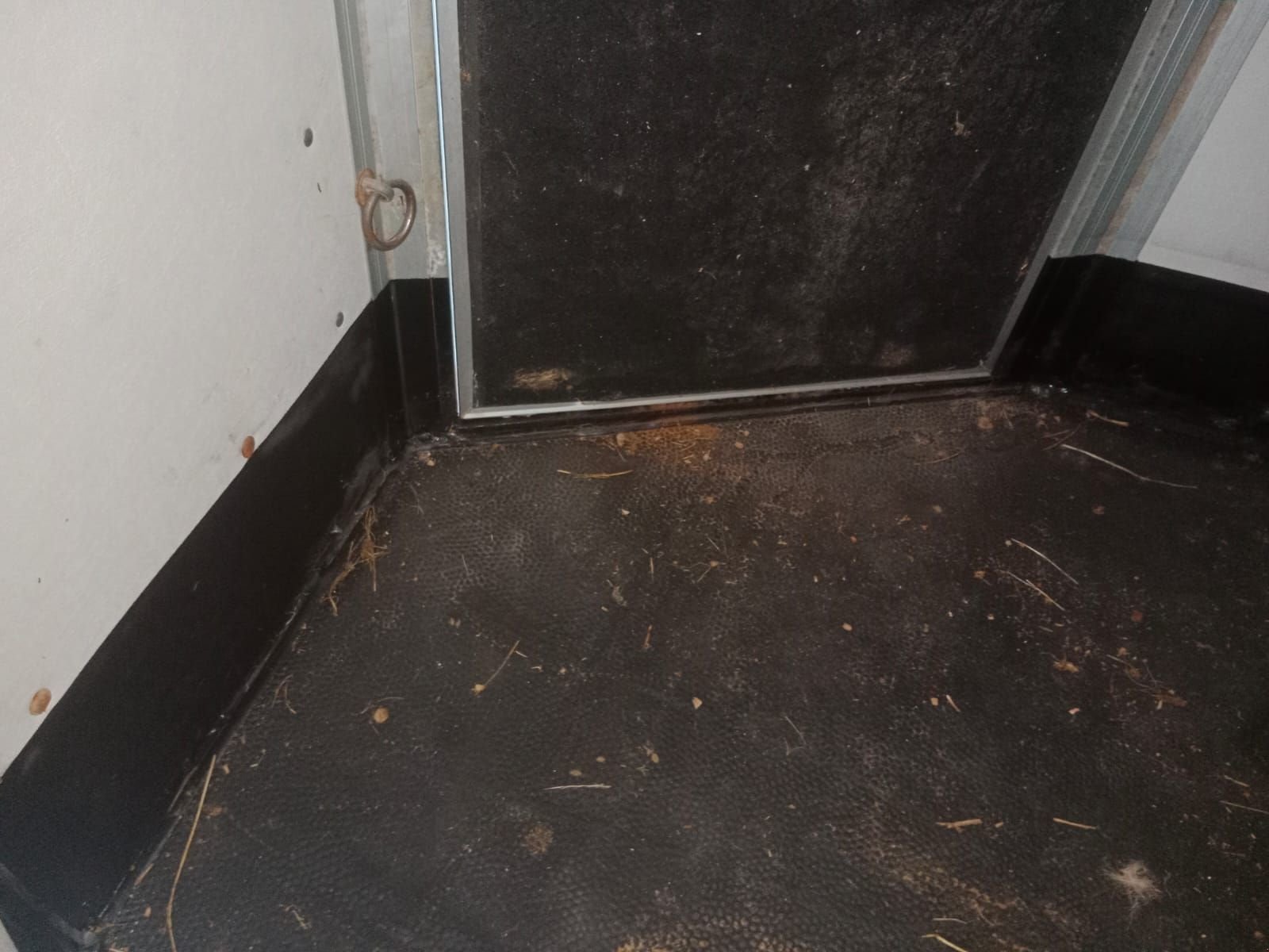 Viehanhänger типа Humbaur HP2000, Gebrauchtmaschine в Ried im Oberinntal (Фотография 3)