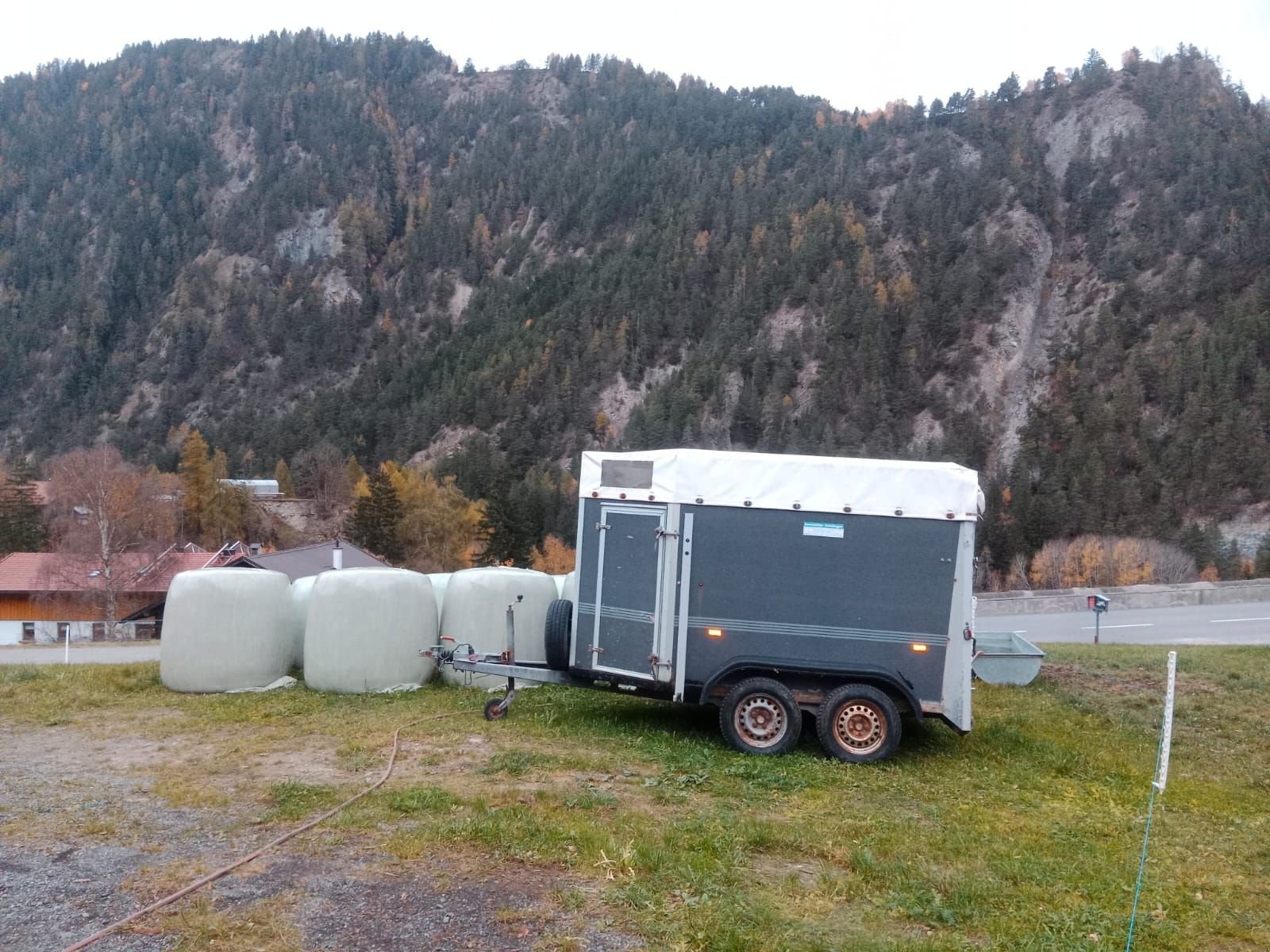 Viehanhänger типа Humbaur HP2000, Gebrauchtmaschine в Ried im Oberinntal (Фотография 2)