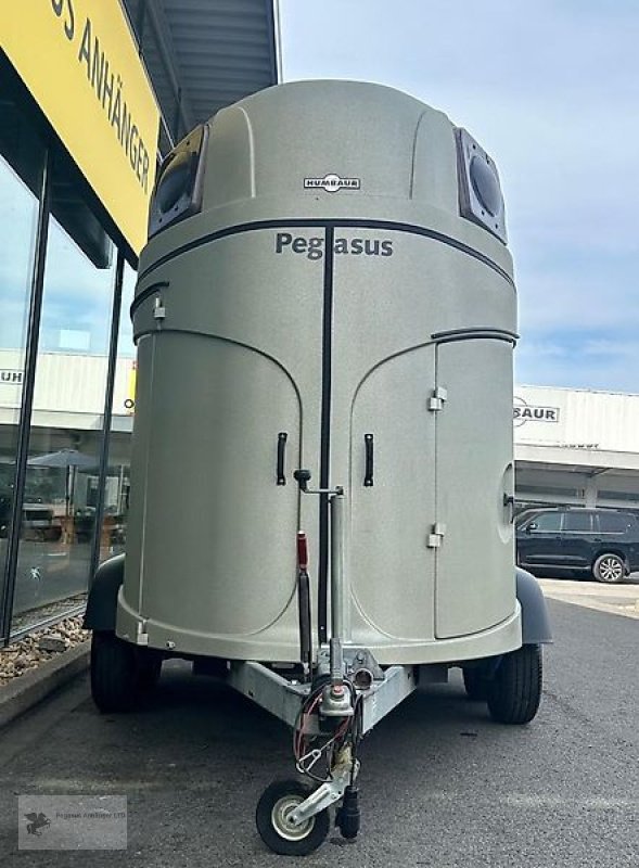 Viehanhänger typu Humbaur Pegasus Vollpoly 2,4t Sattelkammer, Gebrauchtmaschine v Gevelsberg (Obrázek 2)