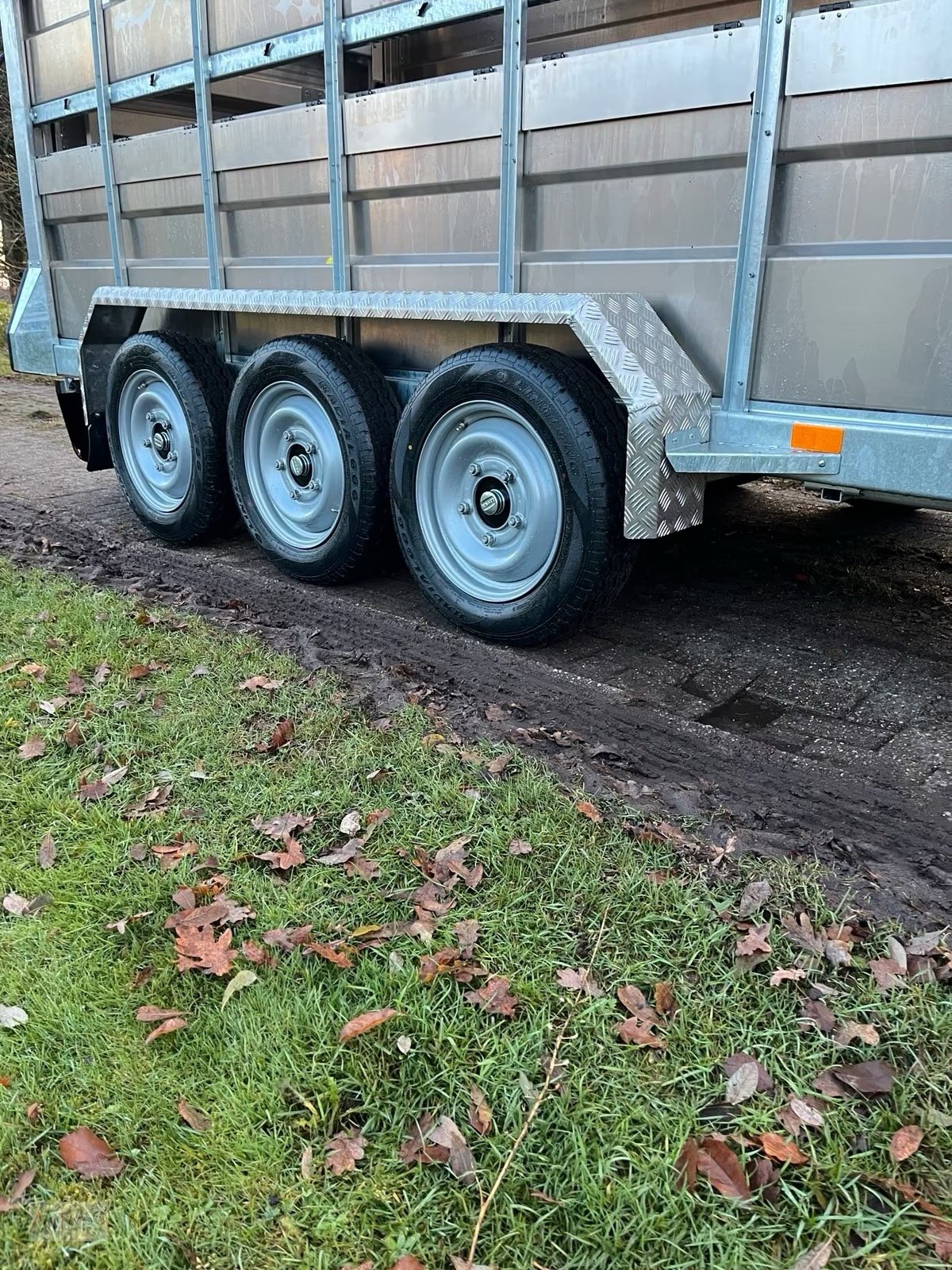 Viehanhänger типа M-Tec PKW Viehanhänger, Neumaschine в Berumerfehn (Фотография 2)