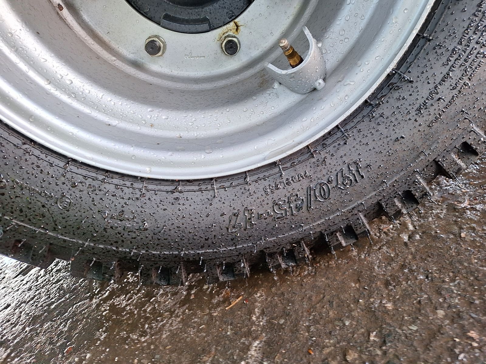 Viehanhänger Türe ait Schwaighofer Sonstiges, Neumaschine içinde Bergheim (resim 10)