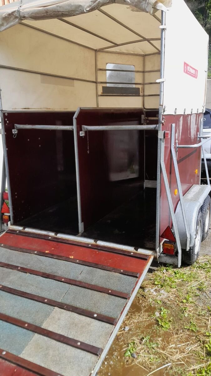 Viehanhänger van het type Sonstige Blomert T2 BES, Gebrauchtmaschine in Bramberg (Foto 6)