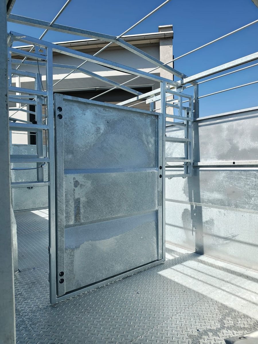 Viehanhänger des Typs Sonstige Cynkomet T 667 H, Neumaschine in Hopfgarten (Bild 10)