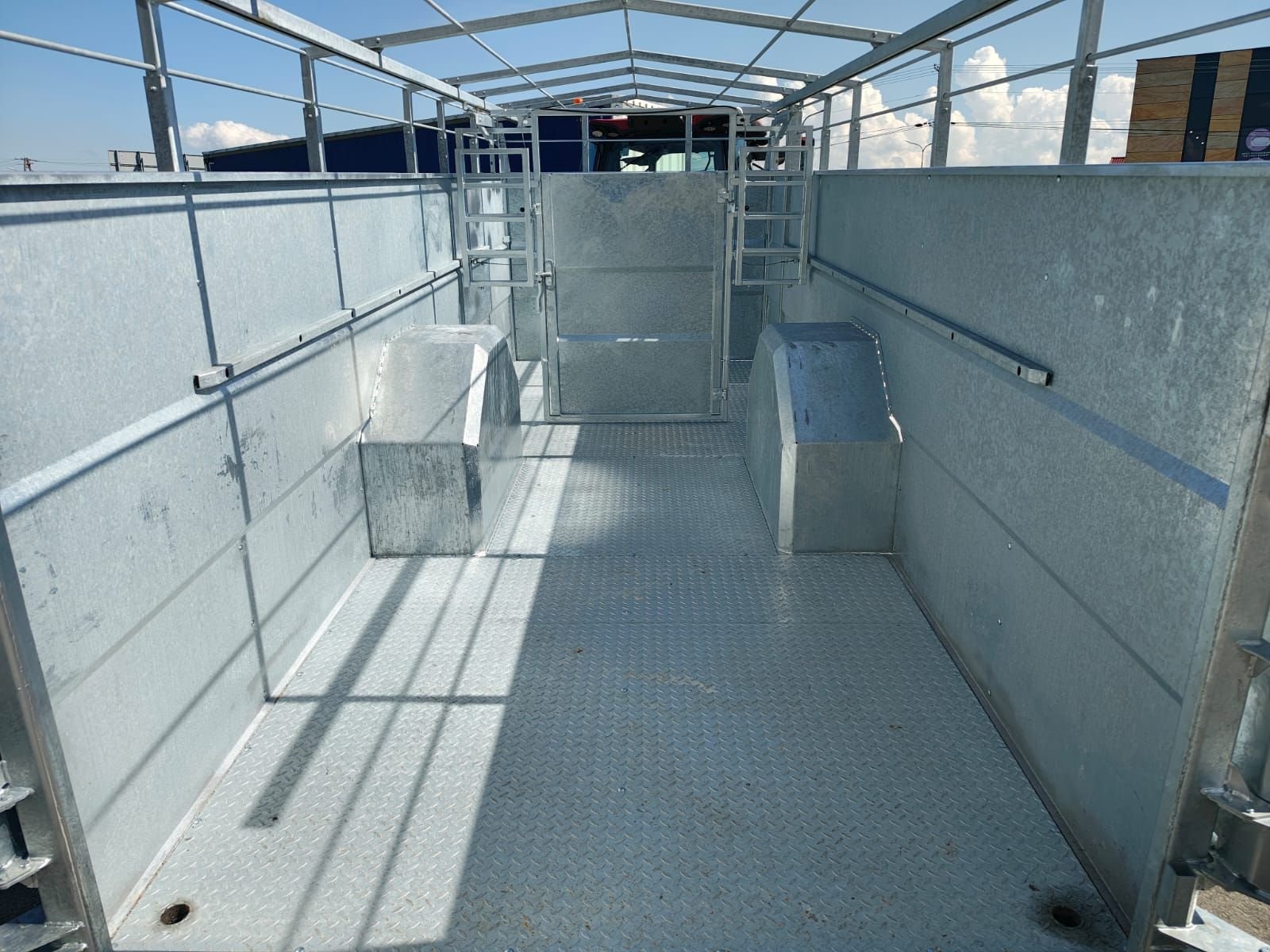 Viehanhänger des Typs Sonstige Cynkomet T 667 H, Neumaschine in Hopfgarten (Bild 5)