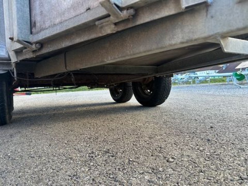 Viehanhänger des Typs Sonstige Gollob Viehanhänger 1.000kg 115cm, gebraucht, Gebrauchtmaschine in Tamsweg (Bild 9)