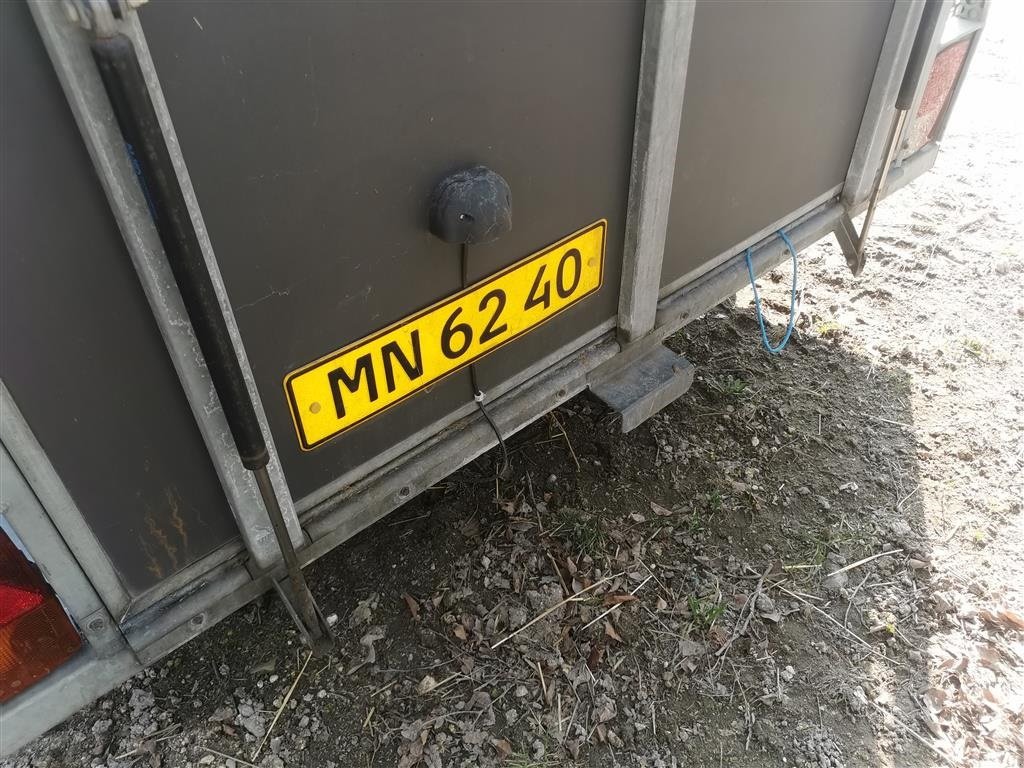 Viehanhänger des Typs Sonstige Hestetrailer Henra Buffalo MN 6240, Gebrauchtmaschine in Egtved (Bild 3)