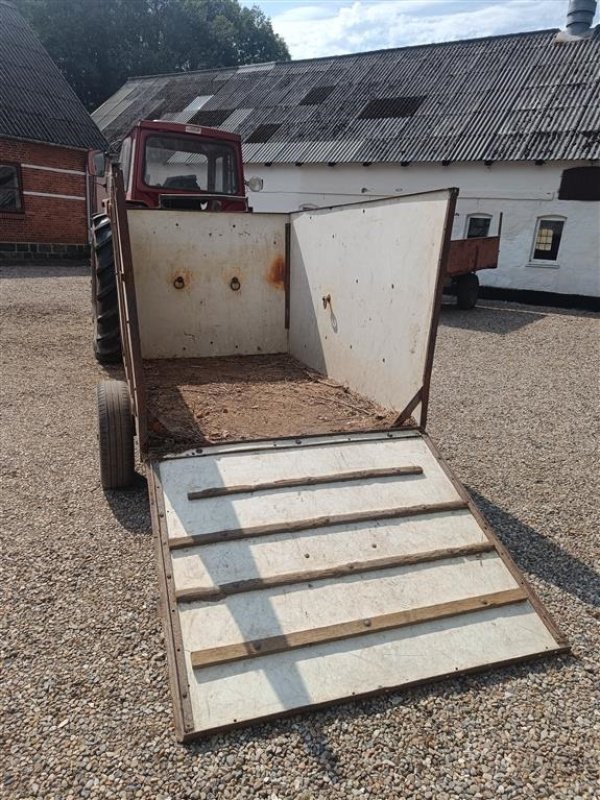 Viehanhänger del tipo Sonstige Kreatur vogn, dyrtransport vogn, Gebrauchtmaschine In Egtved (Immagine 1)