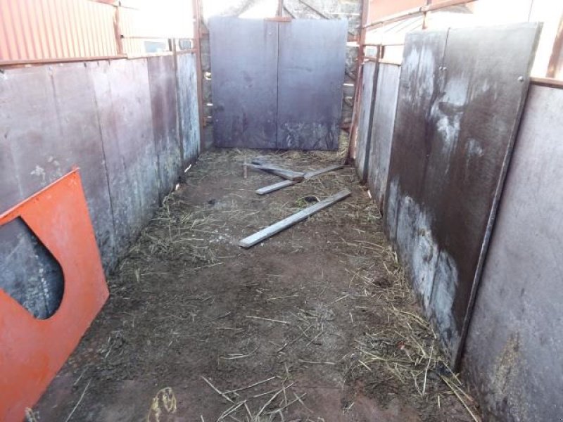 Viehanhänger typu Sonstige Kreaturvogn, Gebrauchtmaschine v Ribe (Obrázek 10)