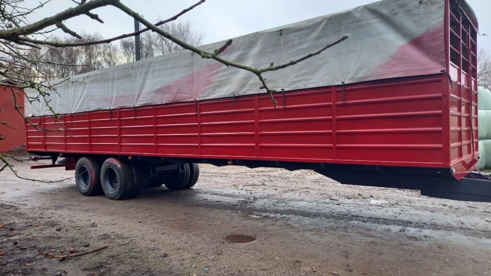 Viehanhänger a típus Sonstige Kvægtransport, Gebrauchtmaschine ekkor: Rødovre (Kép 5)