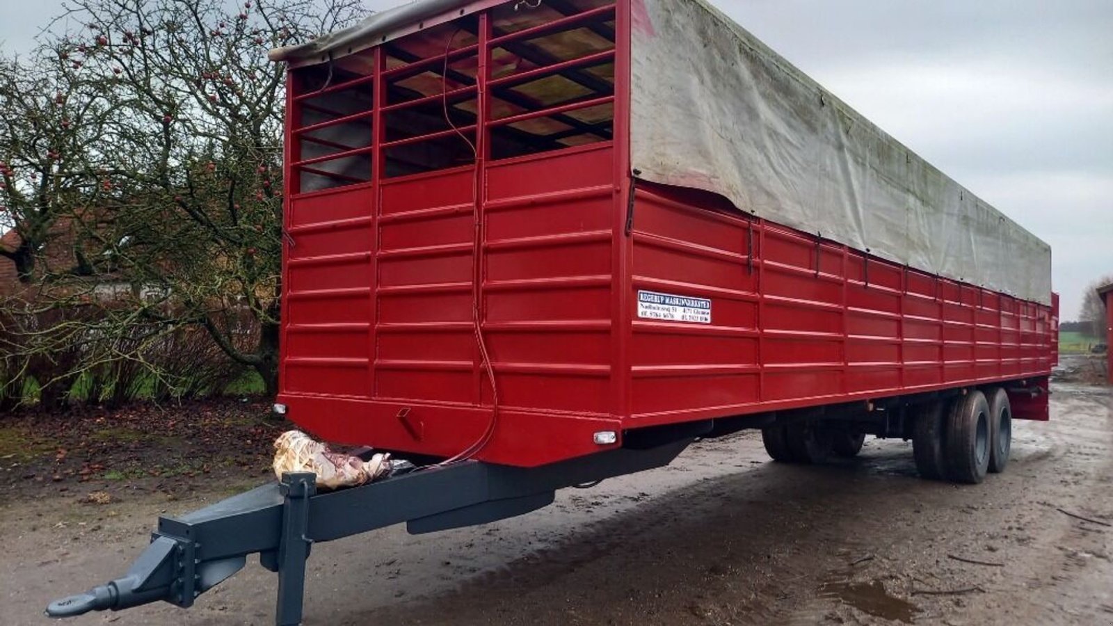 Viehanhänger a típus Sonstige Kvægtransport, Gebrauchtmaschine ekkor: Rødovre (Kép 1)