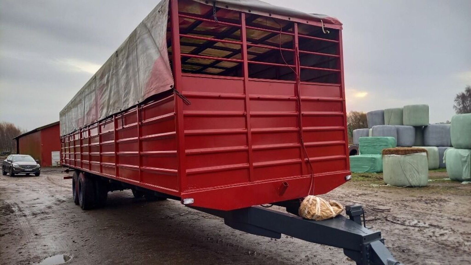 Viehanhänger a típus Sonstige Kvægtransport, Gebrauchtmaschine ekkor: Rødovre (Kép 4)