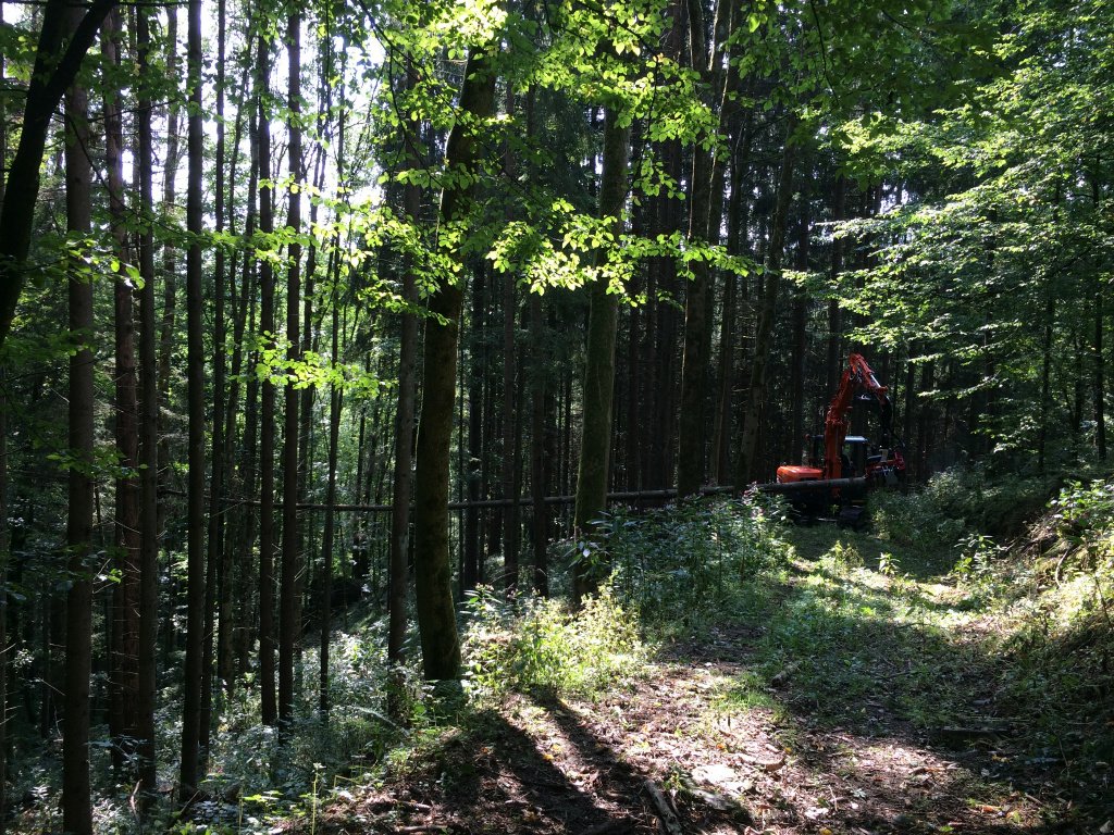 Vollernter des Typs Doosan DX 85 Harvester Woody, Neumaschine in Hutthurm (Bild 8)