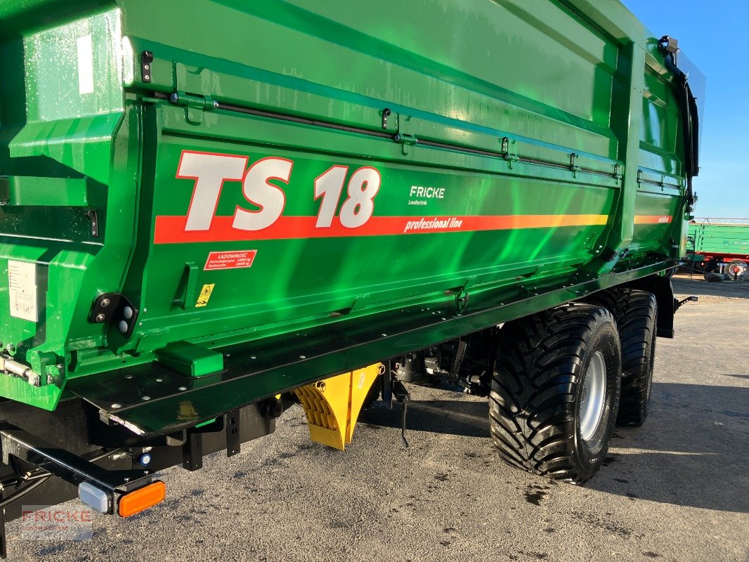 Wannenkipper типа Metaltech TS 18, Neumaschine в Demmin (Фотография 10)