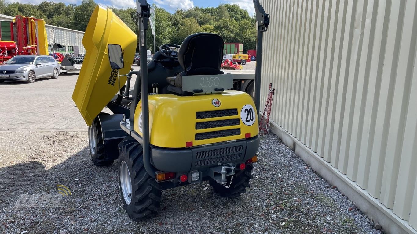 Wannenkipper του τύπου Wacker Neuson 1501, Neumaschine σε Neuenkirchen-Vörden (Φωτογραφία 16)