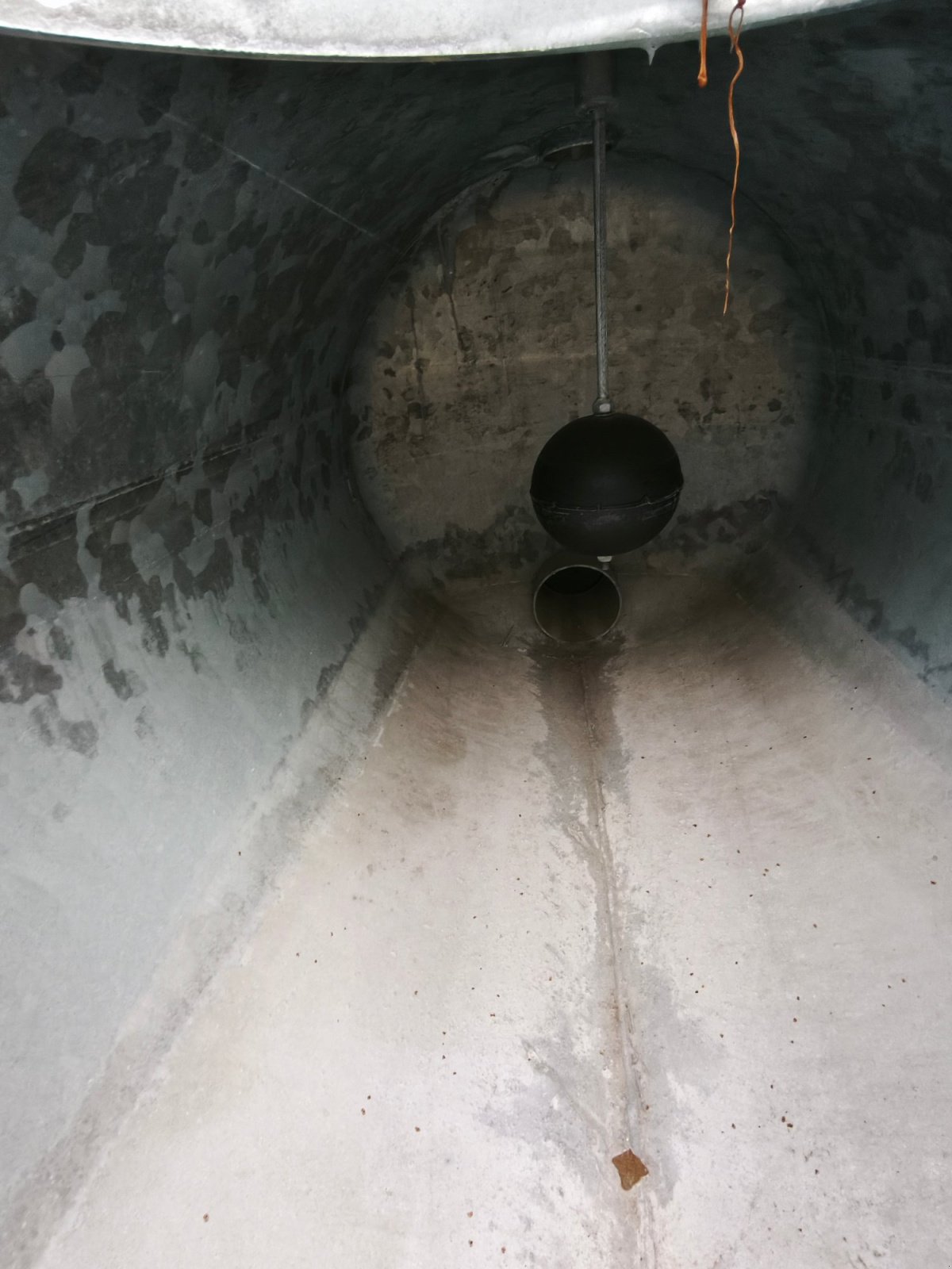 Wasserfass del tipo Marchner Wasserfass 600 Liter Weidefass für Landwirtschaft Kommunalbetrieb Gärtnerei, Gebrauchtmaschine In Großschönbrunn (Immagine 10)