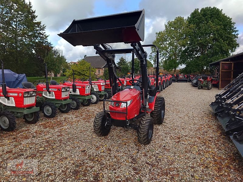 Weinbautraktor des Typs Branson 2505H, Neumaschine in Grischow (Bild 1)