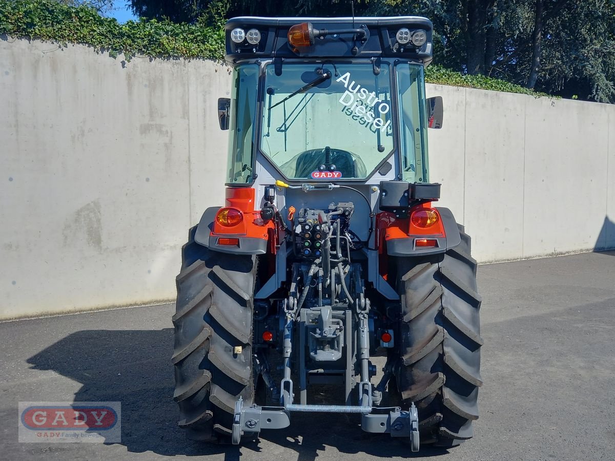 Weinbautraktor des Typs Massey Ferguson 3FR.85, Neumaschine in Lebring (Bild 4)