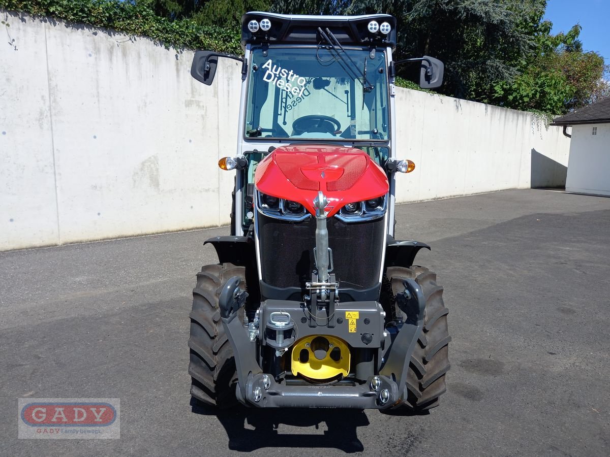 Weinbautraktor typu Massey Ferguson 3SP.115, Vorführmaschine w Lebring (Zdjęcie 3)