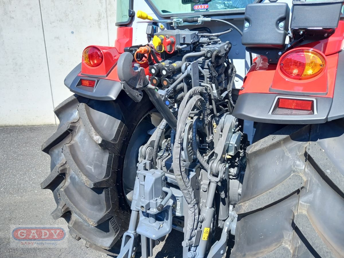 Weinbautraktor des Typs Massey Ferguson 3SP.115, Vorführmaschine in Lebring (Bild 7)