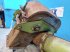 Werkzeuge des Typs CLAAS Dominator 76, Gebrauchtmaschine in Hemmet (Bild 8)