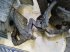 Werkzeuge des Typs John Deere 9780, Gebrauchtmaschine in Hemmet (Bild 15)