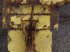 Werkzeuge des Typs New Holland 1545, Gebrauchtmaschine in Hemmet (Bild 5)